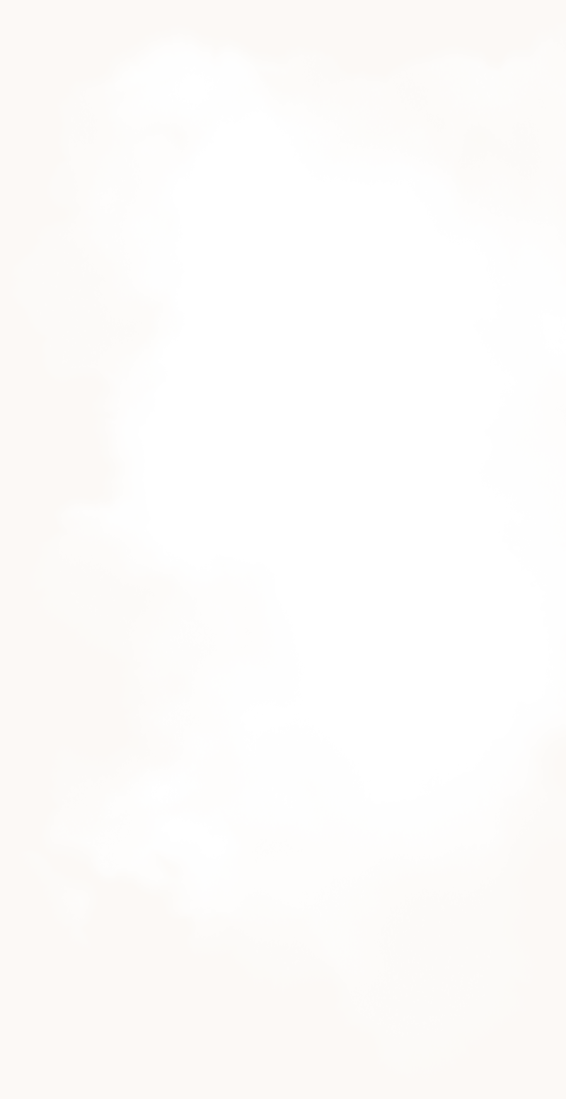 Hästar i hage